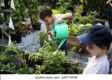 Children Are In The Garden Watering The Plants