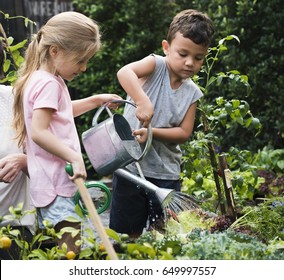 Children Are In The Garden Watering The Plants