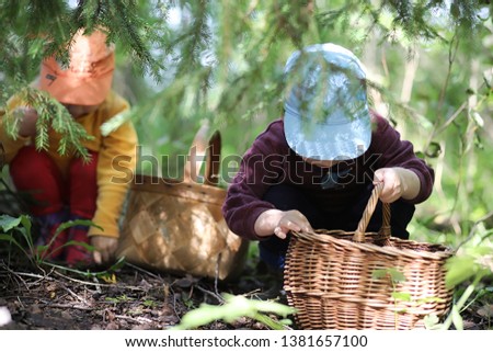 Similar – Image, Stock Photo Mushrooms in basket Food