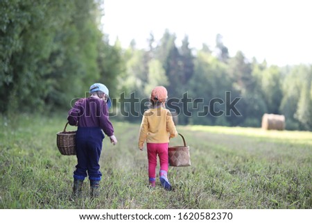 Similar – Image, Stock Photo Mushrooms in basket Food