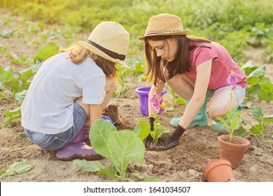 Children Girls Planting Flowering Pot Plant Stock Photo 1641034507 