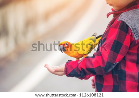 Children give a food for a bird in the park.
