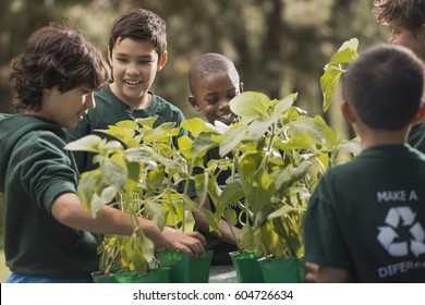 Children In A Group Learning About Plants And Flowers, In An Afterschool Club Or Summer Camp,