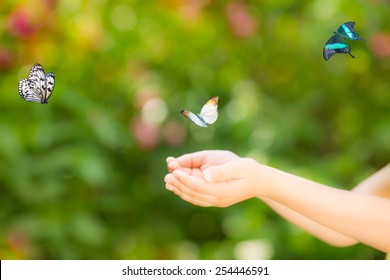 Children hands and flying butterfly against green spring background. Ecology concept