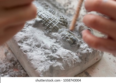 Children Having Fun With Archaeology Excavation Kit In Kindergarten And Early Childhood Environment. An Easy Way For Children To Learn The Basic Principles And Techniques, Science Education And Fun.