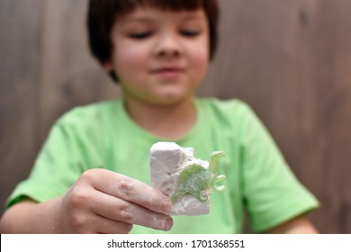 Kinder, die sich mit archäologischen Ausgrabungskit amüsieren. Boy spielt einen ausgegrabenen Archäologen und trainiert Fossil graben