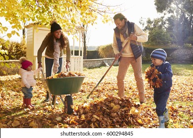 Children Helping Parents To Collect Autumn Leaves In Garden - Powered by Shutterstock