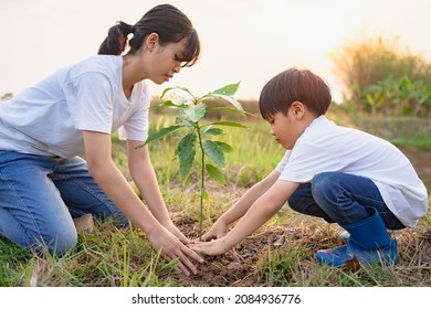 children helping planting tree in garden for save world. eco environment concept - Powered by Shutterstock