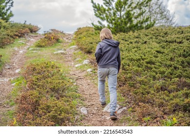 Children Hiking In Mountains Or Forest With Sport Hiking Shoes. Boy Walking Trough Forest Path Wearing Mountain Boots