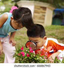 Children Holding Magnifying Glass Focus On The Flowers