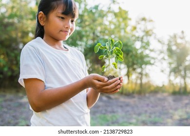 Children Holding Small Tree For Planting. Concept Earth Day