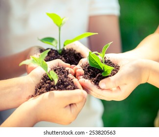 Kinderen met jonge planten in handen tegen lentegroene achtergrond. Ecologie concept. Dag van de Aarde