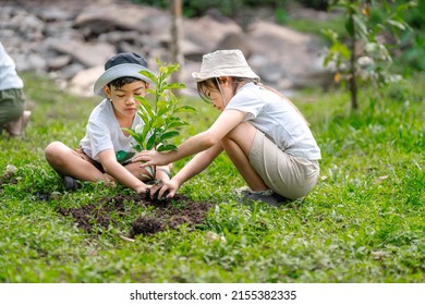 Children join as volunteers for reforestation, earth conservation activities to instill in children a sense of patience and sacrifice, doing good deeds and loving nature. - Shutterstock ID 2155382335