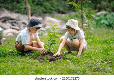 Children Join As Volunteers For Reforestation, Earth Conservation Activities To Instill In Children A Sense Of Patience And Sacrifice, Doing Good Deeds And Loving Nature.