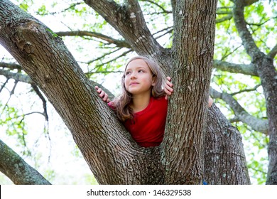 Children Kid Girl Playing Climbing To A Tree In A Park Outdoor