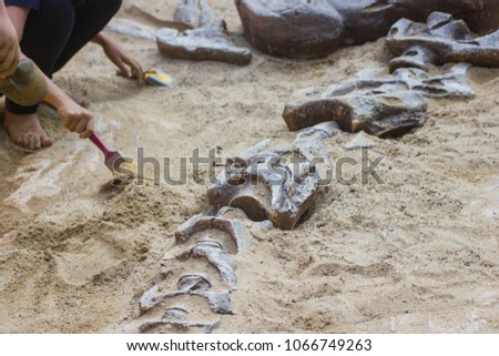 Children learning about, Excavating dinosaur fossils simulation in the park. 