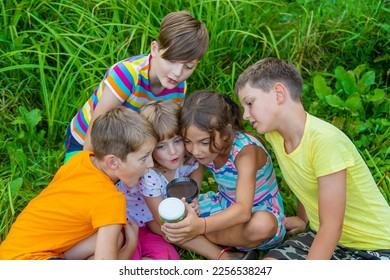 Children look at a magnifying glass on the nature. Selective focus. Nature. - Powered by Shutterstock