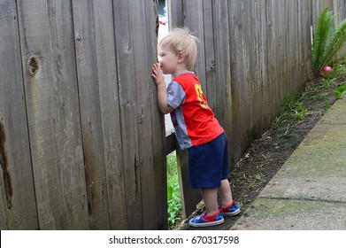 children are looking through the hole in the fence
