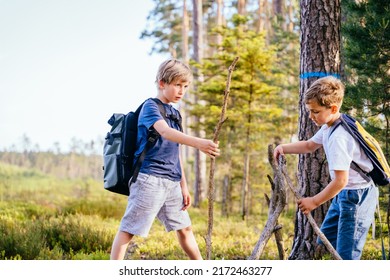 Children On A Beautiful Forest Nature Building Homemade Driftwood Teepee Building A Fire Together. Friends Together At Summer Vacation.