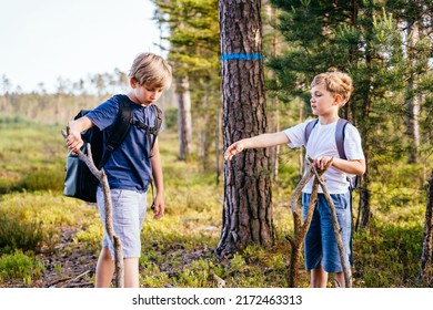 Children On A Beautiful Forest Nature Building Homemade Driftwood Teepee Building A Fire Together. Friends Together At Summer Vacation.