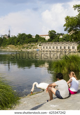 Children on the shore of the river with a swan