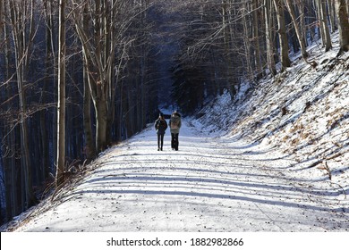 Children on a walk. View of a snowy forest road. The trees cast long shadows. The photo in breadth.