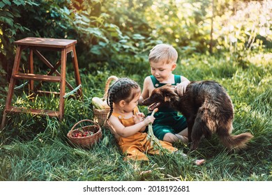 Children in overalls feed the dog with carrots. - Powered by Shutterstock