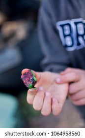 Children Painting Rocks, Camping