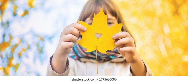 Children in the park with autumn leaves. Selective focus. - Shutterstock ID 1795663096