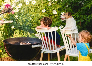 Children and pet dog looking at meat grilling during outdoor bbq party in garden on sunny summer day
