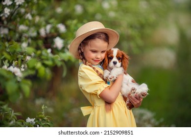 children and pets. cute little girl in a hat with pigtails holding a brown puppy cavalier king charles spaniel in her arms