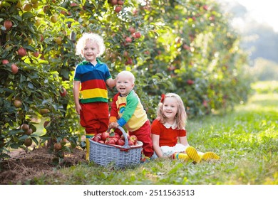 Children picking apples on a farm in autumn. Little girl, boy and baby playing in apple tree orchard. Kids pick fruit in a basket. Toddler eating fruits at harvest. Fall outdoor fun for children.  - Powered by Shutterstock