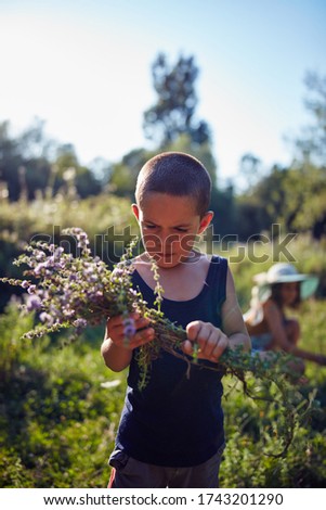 Similar – Image, Stock Photo little boy picks flowers in the garden