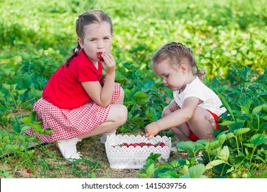 Children Picking Fresh Strawberry Fruit On The Farm.  Two Small Kids Girls Are Engaged In Gardening And Harvesting. Family Outdoor Activities On A Sunny Summer Day