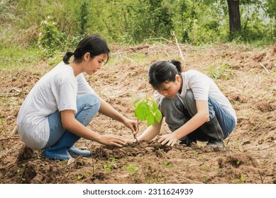 children plant trees to proteot environment - Shutterstock ID 2311624939
