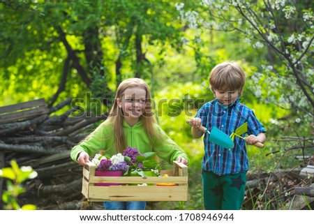 Similar – Image, Stock Photo Boy taking photo to family with apples in basket