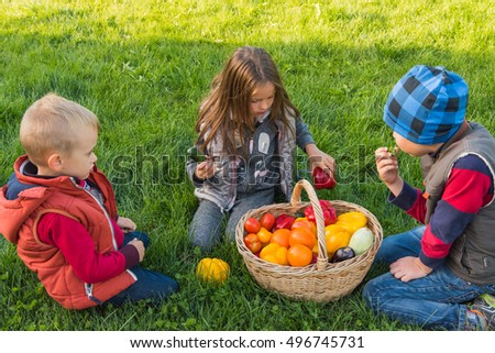 Similar – Image, Stock Photo Boy taking photo to family with apples in basket