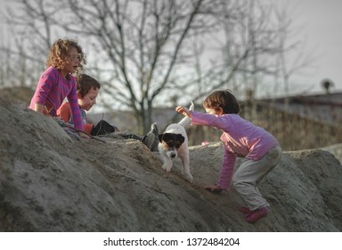 Children Play On The Hill Of Mud With A Dog