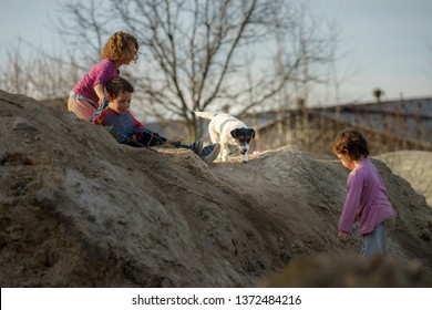 Children Play On The Hill Of Mud With A Dog