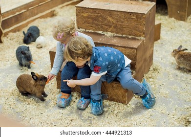 children play with the rabbits in the petting zoo - Shutterstock ID 444921313