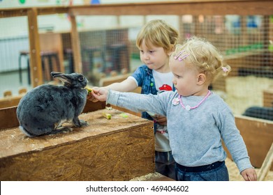 Children Play With The Rabbits In The Petting Zoo