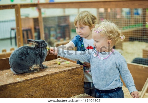 children play\
with the rabbits in the petting\
zoo