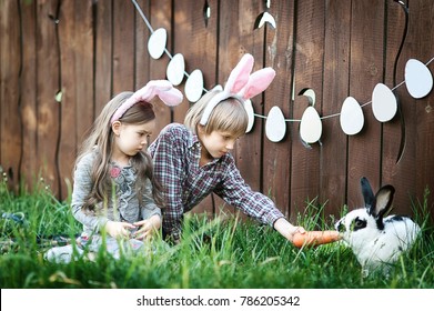 Real Easter Bunny Images Stock Photos Vectors Shutterstock