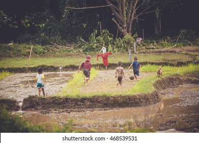 Children Playing Football At Rice Field