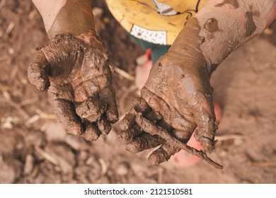 Children Playing And Muddy Hands.