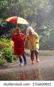 Children In Raincoats Sharing Umbrella