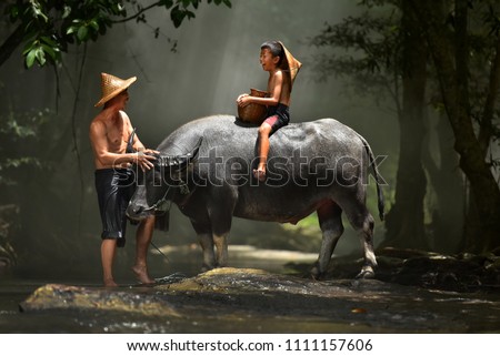 Children riding water buffalo on his father laughed happily.