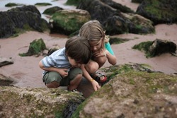 Children Rock Pooling In Devon