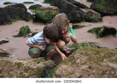 Children Rock Pooling In Devon