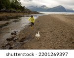 Children, running on the beach in the morning, playing with pet dog, beach in Alesund, city in Norway. Wild camping on the beach
